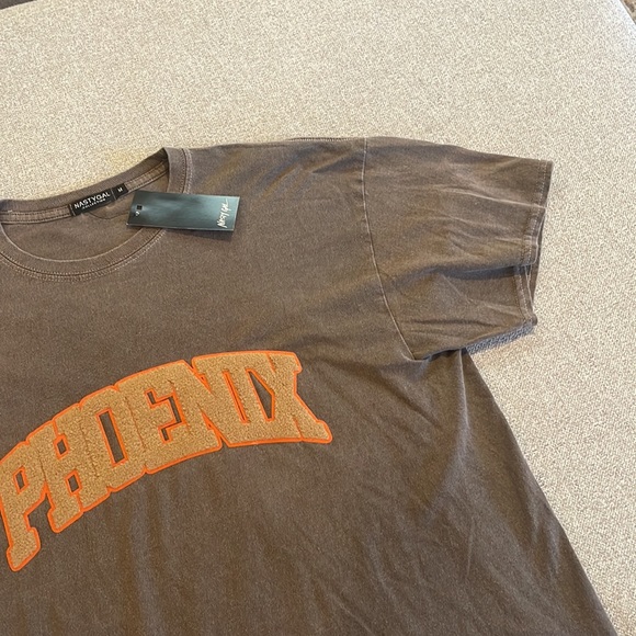 NWT Nasty Gal Phoenix Oversized TShirt Chocolate Color - Picture 3 of 5